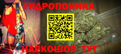 тгк Будённовск