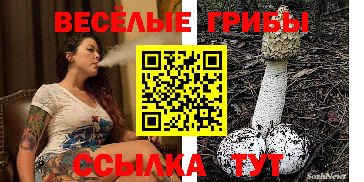 Псилоцибиновые грибы MAGIC MUSHROOMS Протвино