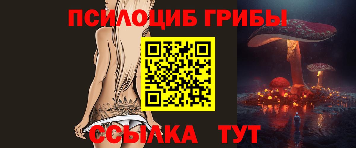 Протвино  Галлюциногенные грибы Psilocybine cubensis  Галлюциногенные грибы прущие грибы  Вход с VPN 