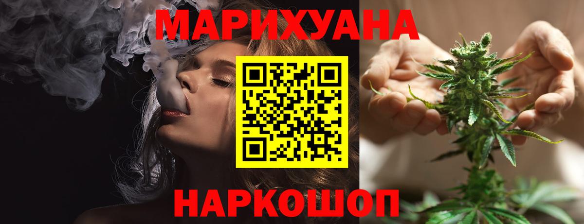 Каннабис сатива Протвино